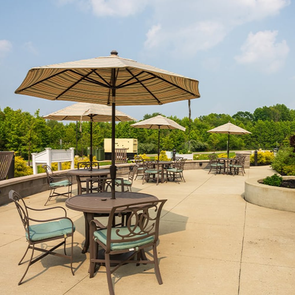 Juniper-Mother-hamilton-gallery-01