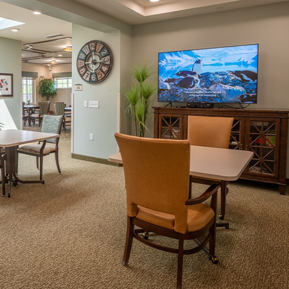 Juniper-Mother-hamilton-gallery-04