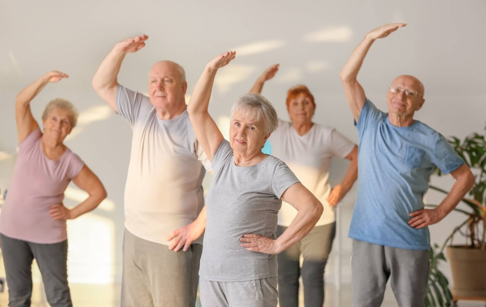 seniors stretching